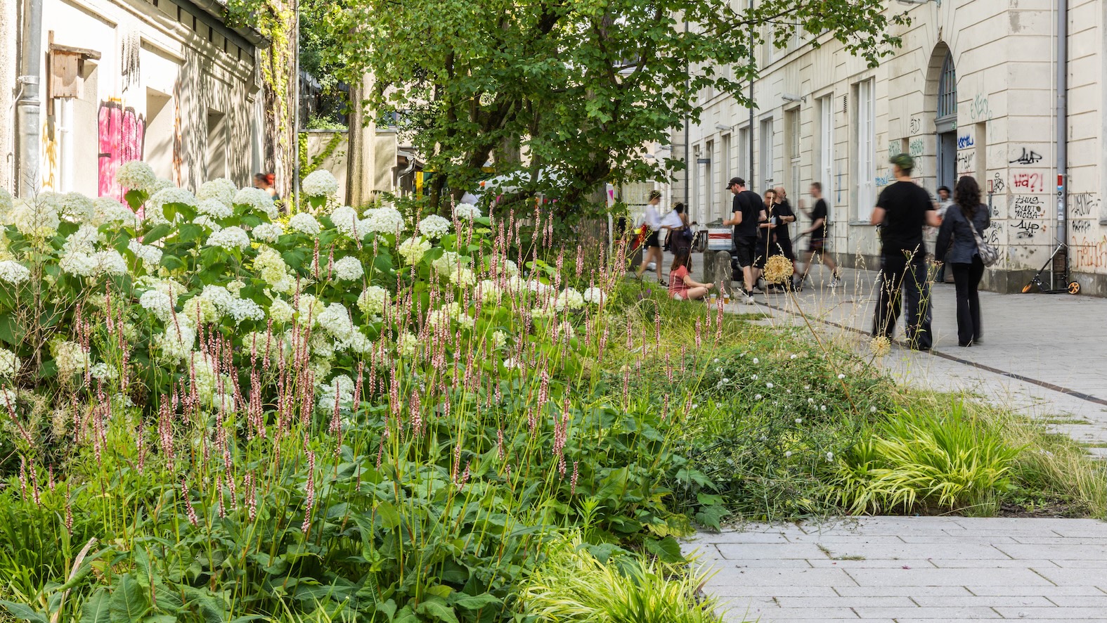 Die Bepflanzung des meist recht schattigen Innenhof wurde auf den Standort abgestimmt, so dass auch dort üppiges Grün und schöne Blühaspaket erreicht werden